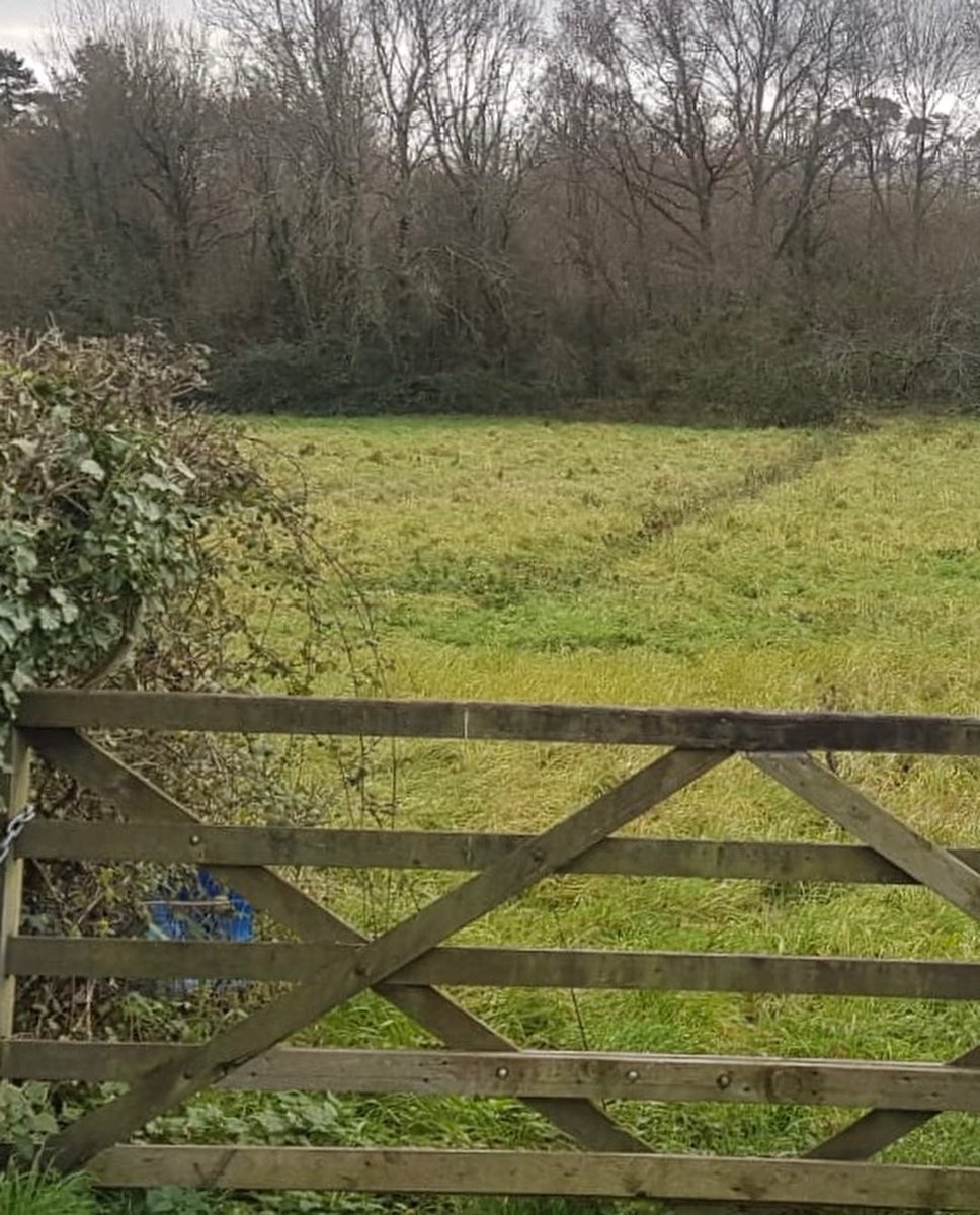SteepTogether's tweet photo. Very important display of the designs and numbers of houses planned for the field next to Steep Village Hall. Come and voice yr opinions to the developer Thurs 29th Sept 1.30-3.30 and 5.30-8.30pm https://t.co/LroMveevMd