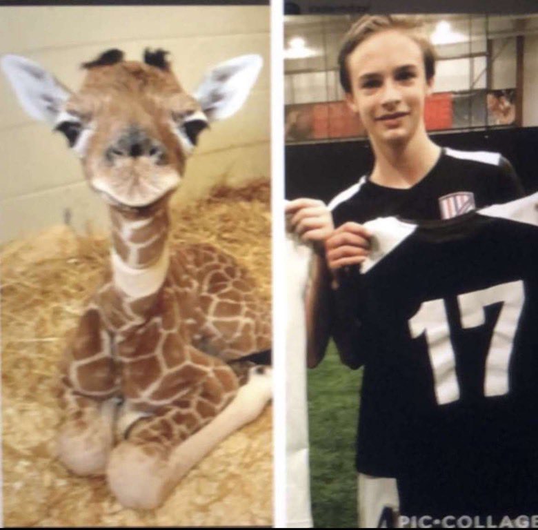 _TheOwlsNest_'s tweet photo. Boys soccer
The lads🤩🤩😎vs. Man Val🤮🤮🤢
6:30 @ man val
#ashton>x #xisanorexic #fuckjt #jimmyownsallofyou #rileybrickwall #cadenurneckislongaf #ryangropeschildren #ryansgirlfriendisachild #kirrasaiditssmall #xurgirlcheatsonyou https://t.co/iHqtbn6ffw