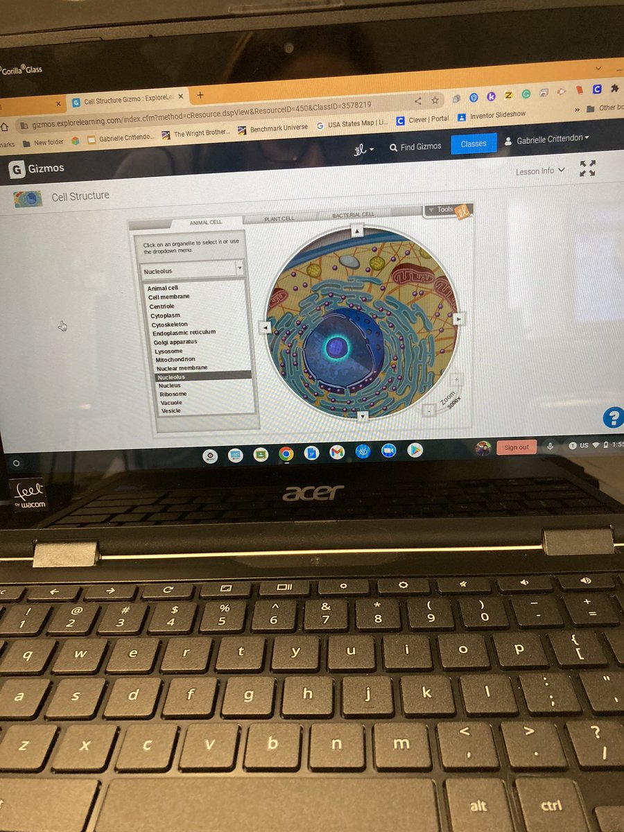 santana6thgrade's tweet photo. Using Gizmos today to explore the structure and functions of plant, animal & bacterial cells. @ArmstrongPUSD @2KatShoPUSD @PUSDEquityAndPL #collaboration #onlinesimulation #vocabularyreview https://t.co/7mH3xDq91p