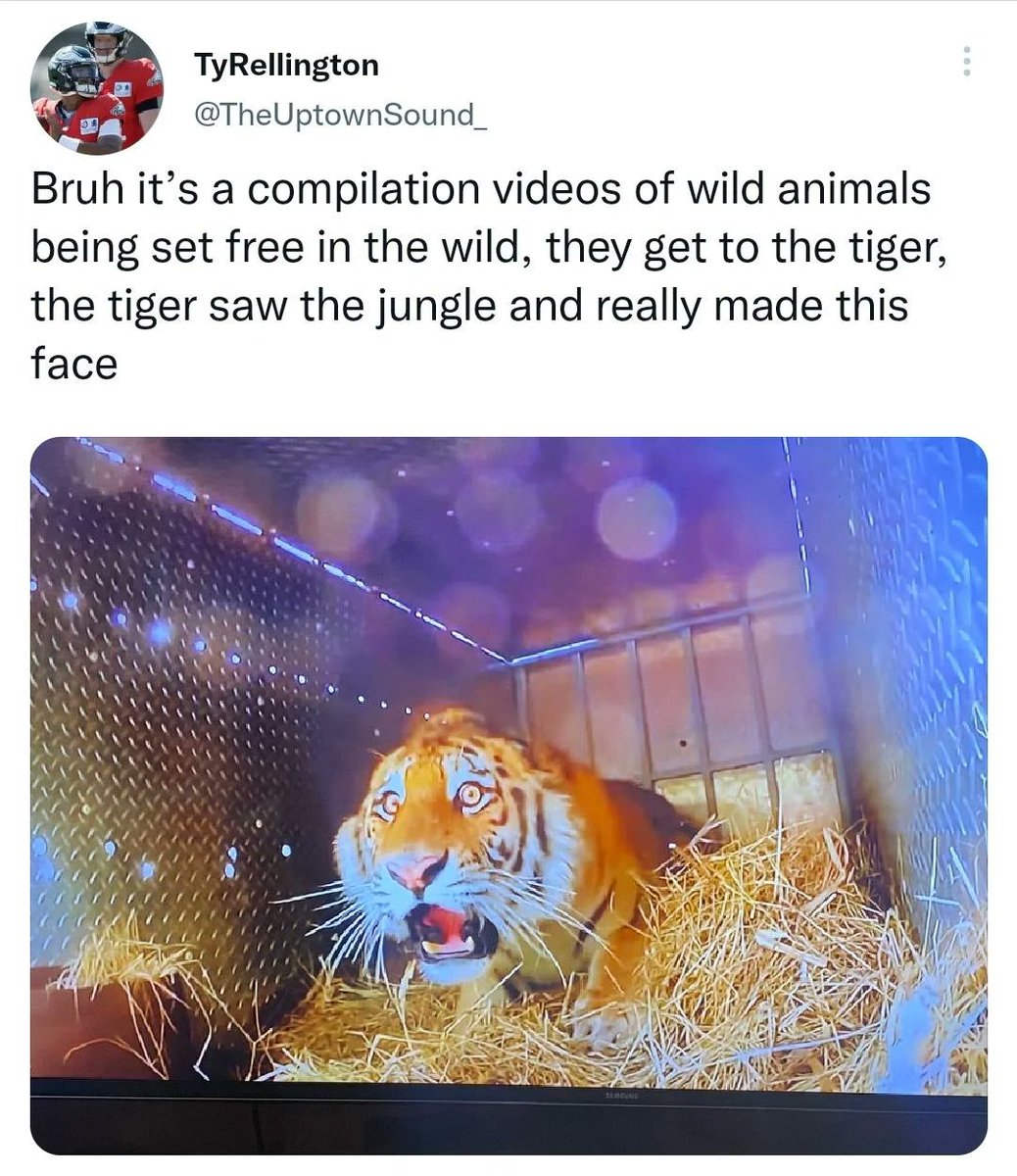 SylinusTTV's tweet photo. @KiranaYonome Always knew I'd go out this way. https://t.co/8m9SlzQkoR