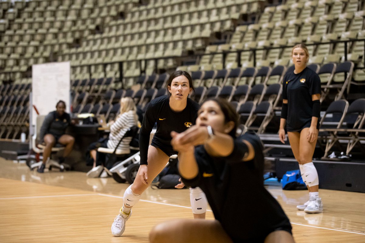Mizzou Volleyball tweet media