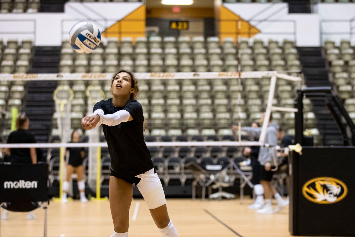 Mizzou Volleyball tweet media