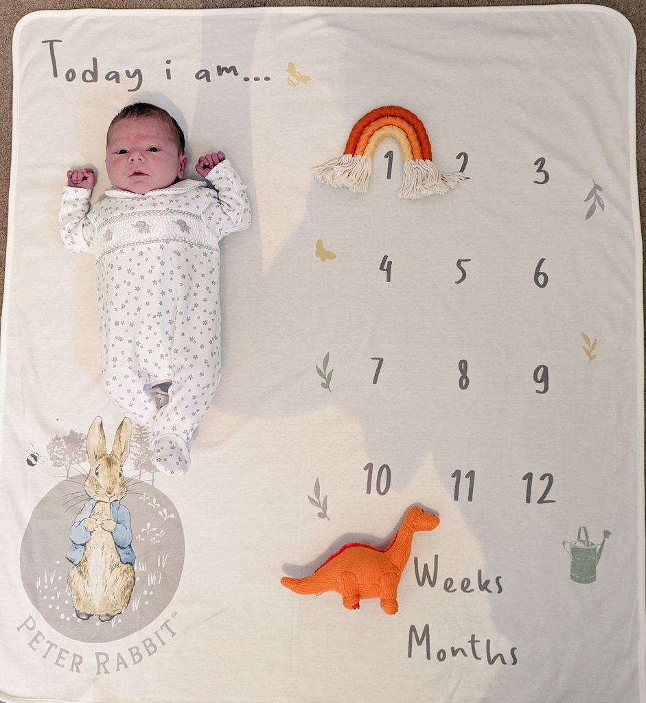 Anna Isabel tweet media