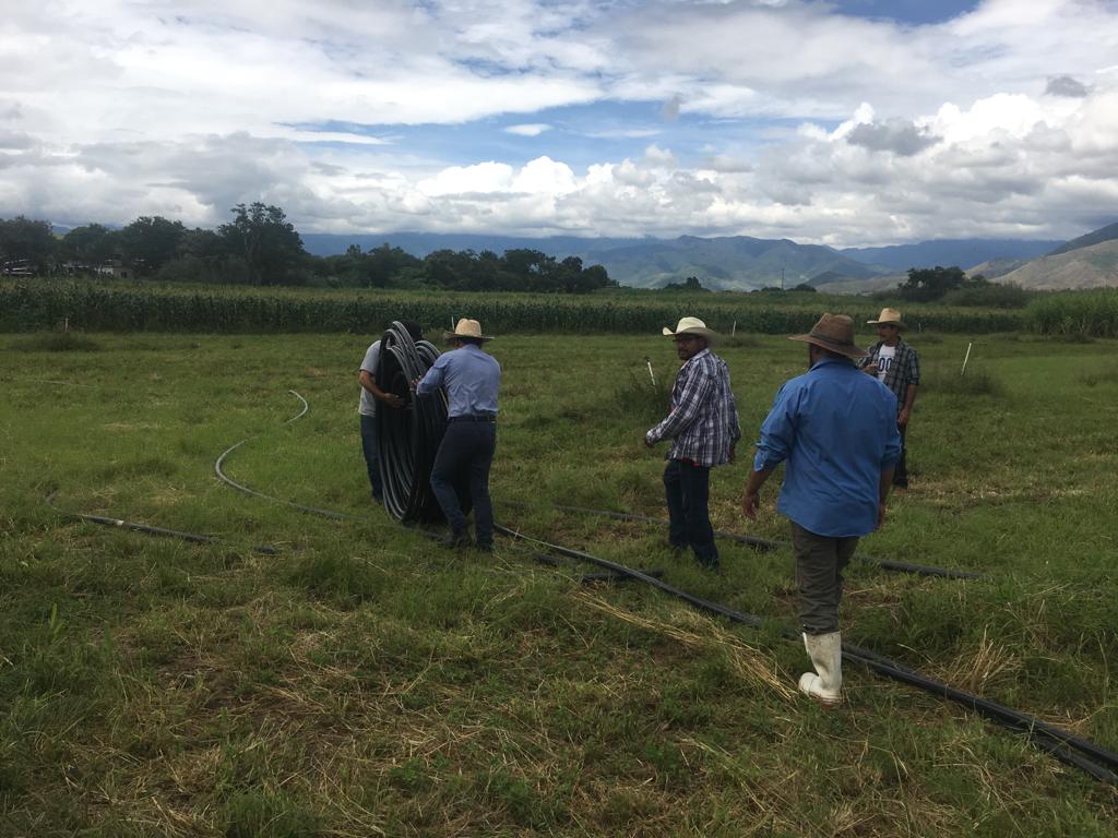 IMTA_mx's tweet photo. 🔷Iniciamos trabajos de instalación de otra unidad demostrativa con riego por goteo de baja carga en Valles Centrales de Oaxaca, que beneficiará a 3 comunidades y 400 productores de maíz, frijol, calabaza y chiles de agua.🏞️💧
Gracias @SEMARNAT_mx , @FloryCantoac y #COPUDA https://t.co/VphS0IlPXM