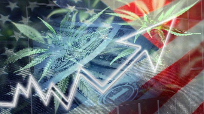 cannainvestors tweet picture