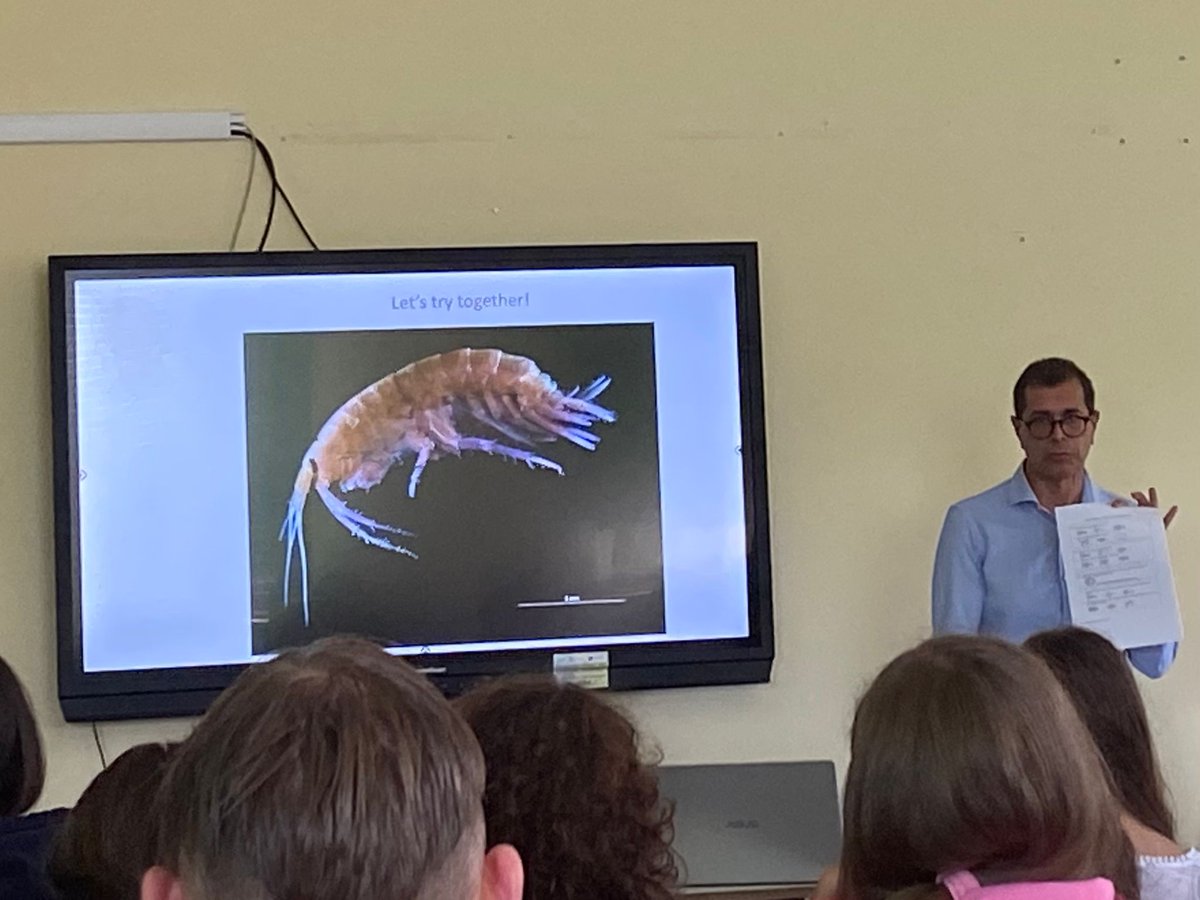 GO! Atheneum MXM tweet media