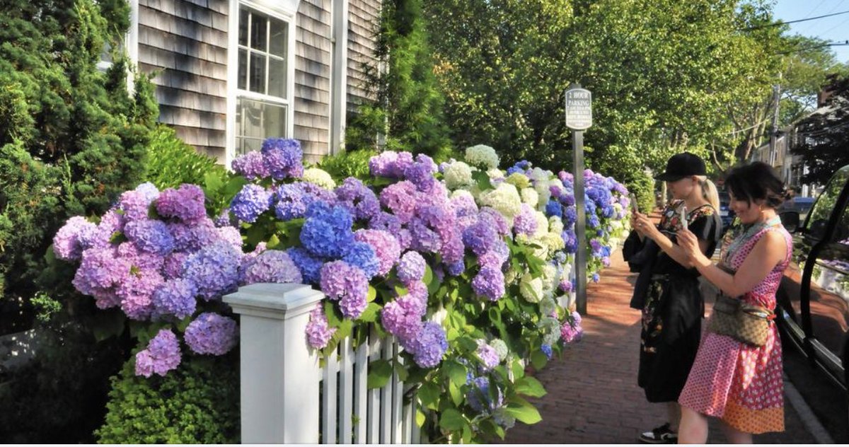 . @Nantucket got overcrowded this summer, so NYTW member <a href="/SandyMacDonald/">Sandy MacDonald</a>, who knows the place well, says the best time to visit is "after the tourist hordes – both moneyed and aspirational – have fled." That means now, and here's what to see/do: everettpotter.com/2022/09/nantuc… #americana
