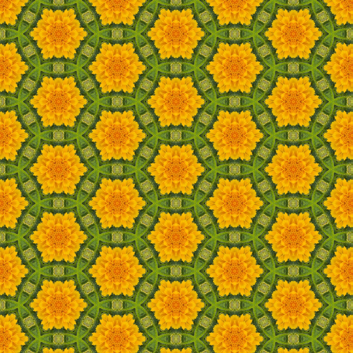 MCAD Continuing Ed tweet media