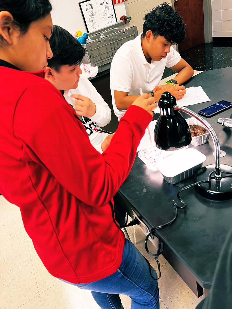 slparsons19's tweet photo. βWhy is the dirt getting warmer so much quicker than the others!?β Quick lab in #EarthAndSpaceScience to model albedo using real life elements. https://t.co/T48f1RIz80