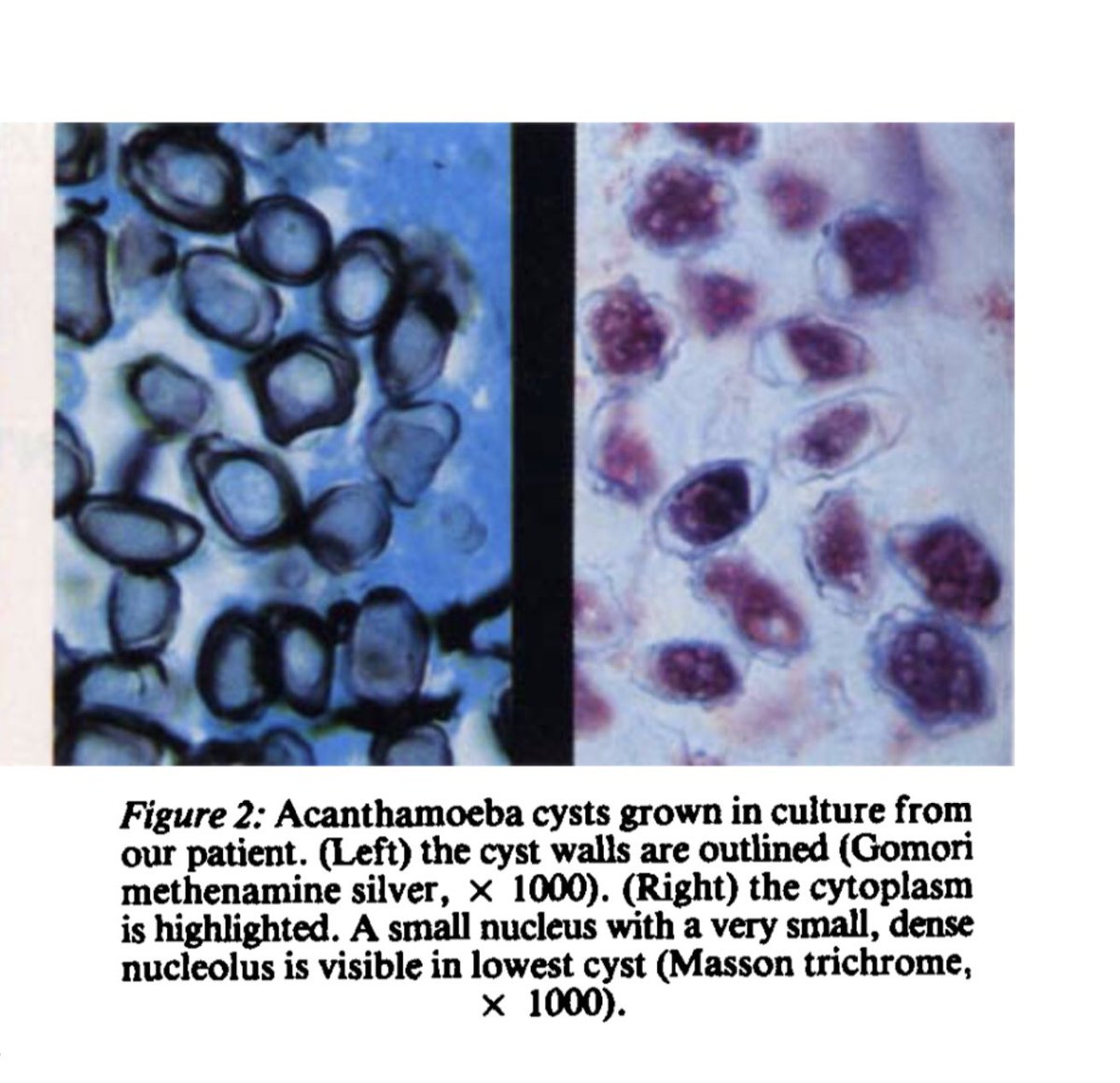 John Weiner tweet media