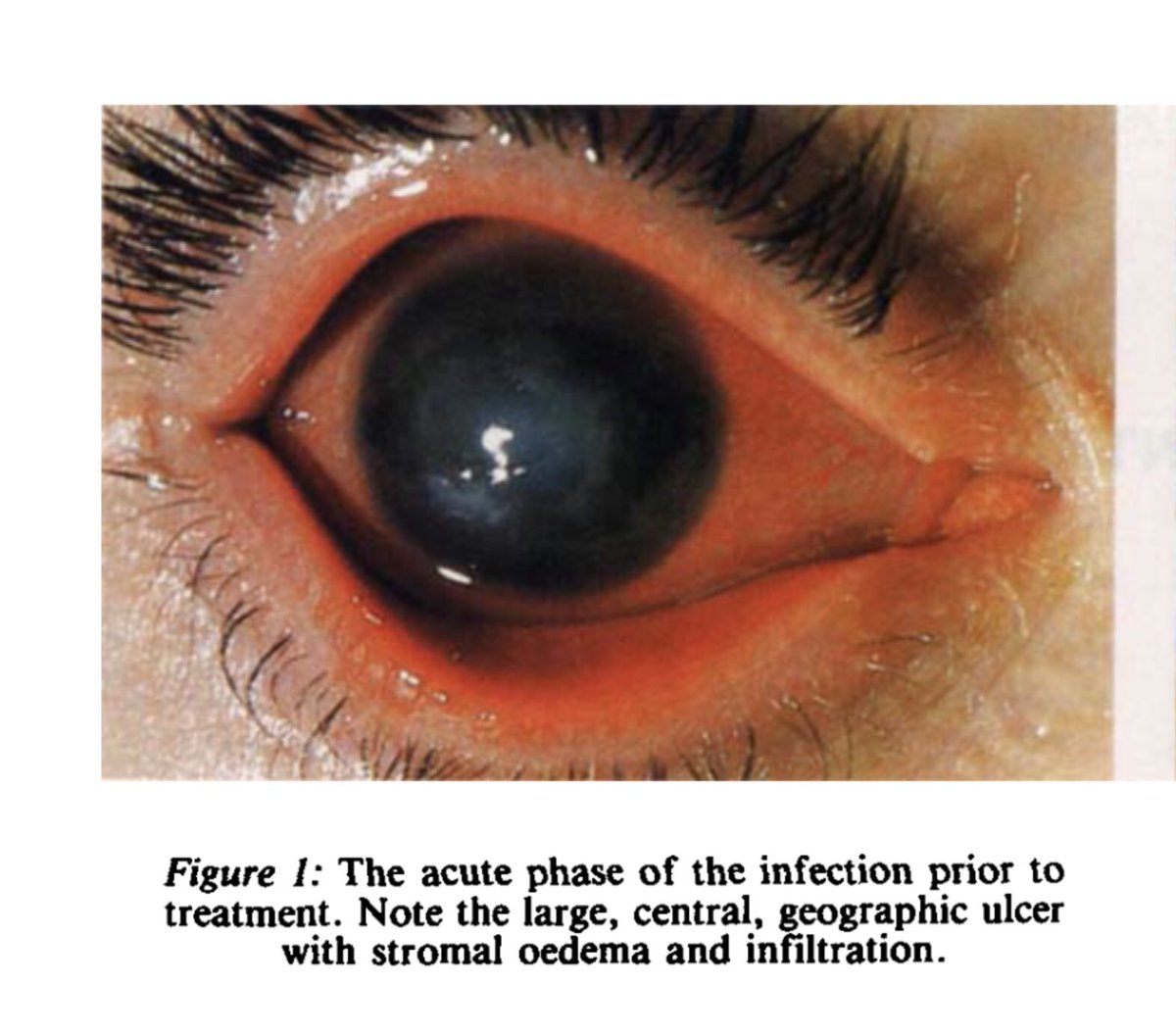John Weiner tweet media