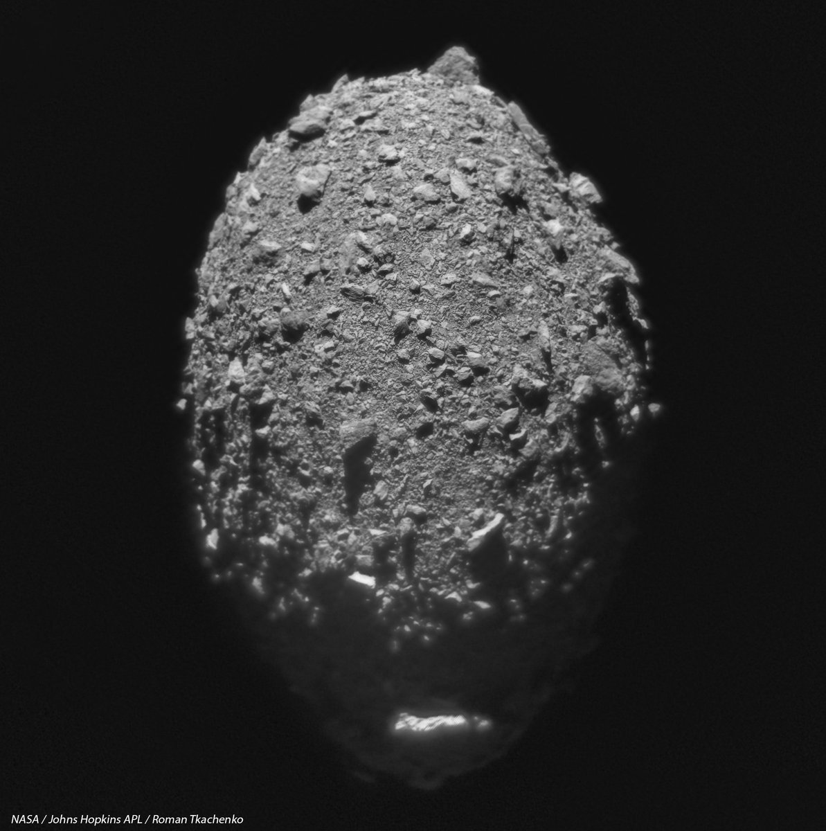 Roman Tkachenko tweet media