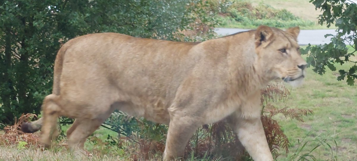 Andrew McGowan tweet media