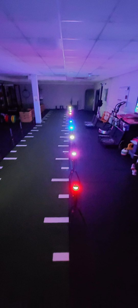 Sandro Dias tweet media