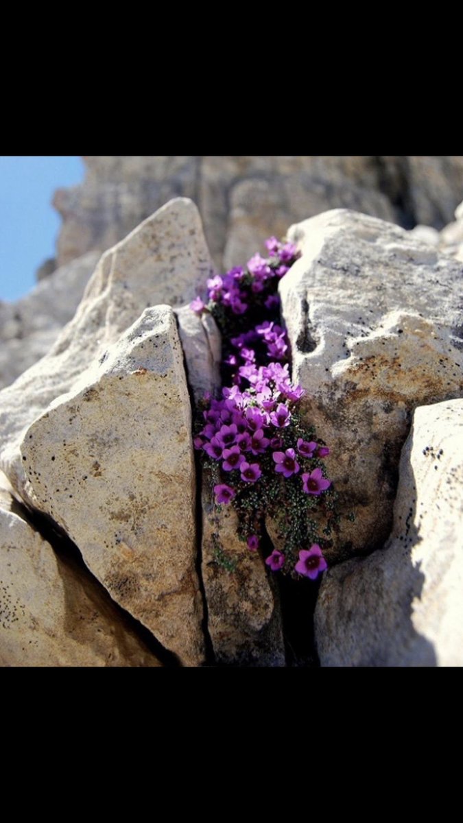 Loly (@loly2101725887) on Twitter photo 