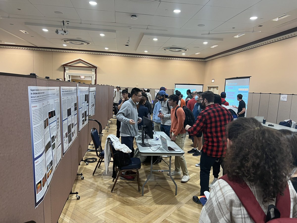 Pengfei Song tweet media