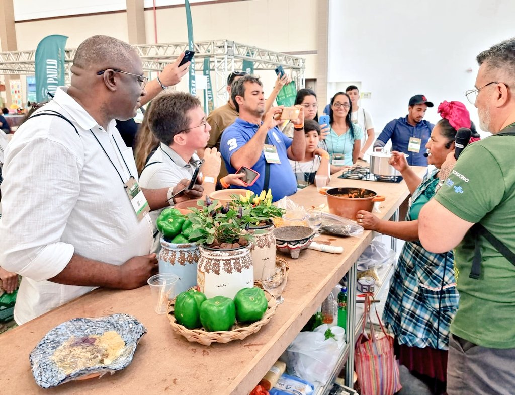 Embaixada do México no Brasil tweet media