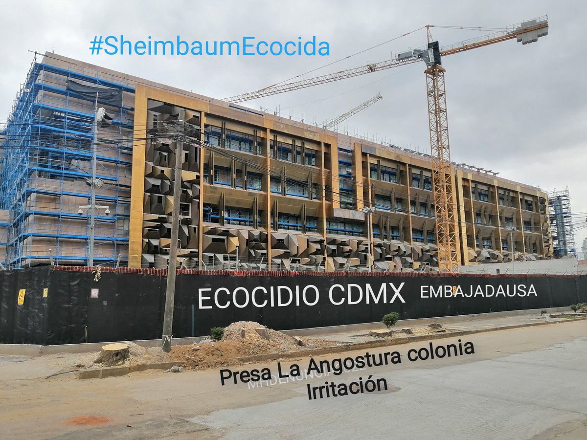 MHdenuncia's tweet photo. Pues se completó el #Ecocidio en la colonia #Irrigacion, talaron todos los árboles en torno a la @USEmbassyMEX  con la anuencia de @Claudiashein y la indignación de vecinos. #SheinbaumEcocida #AlcaldiaMH https://t.co/Ah55M2Advj