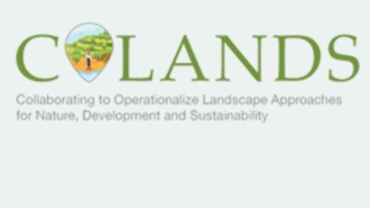 Sunderland Lab tweet media