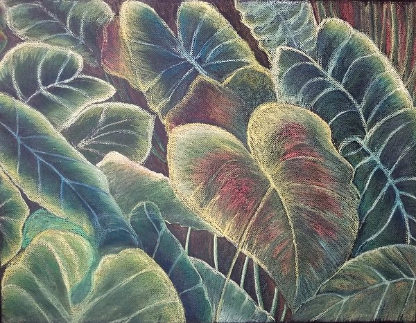🎨Monica Lynn Habib☕️ (@monicalynnhabib) on Twitter photo New artwork for sale! - "Caladiums" - 8-monica-lee.pixels.com/featured/calad… <a href="/fineartamerica/">Fine Art America</a> New artwork for sale! - "Caladiums" - 8-monica-lee.pixels.com/featured/calad… <a href="/fineartamerica/">Fine Art America</a>