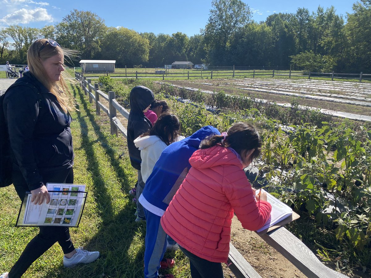 MrsVogelSES's tweet photo. Exploring, observing, and note taking. We are scientists. Thanks @Daniel1Teach for having us today! @SoutheasternEl1 #FishersAgriPark https://t.co/k6r84oj6G6