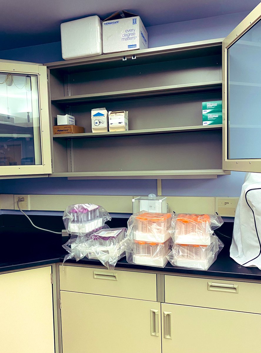 BurdettHart's tweet photo. Our lab before and after move-in today. Won’t be so clean next week when we start hunting for #microplastics in #bottlenosedolphin prey fish 🐠. Stay tuned! 👀 https://t.co/vrYFFit9QT