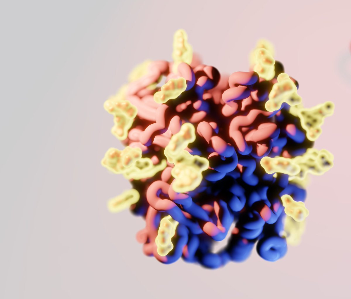 Really excited to finally share our work on #Lassa's fusion glycoprotein (GPC) on bioRxiv! 

We explore GPC structures across lineages, antibodies targeting the apex of the trimer (which impede receptor binding), and describe a new NAb!

Read more here!🔬
biorxiv.org/content/10.110…