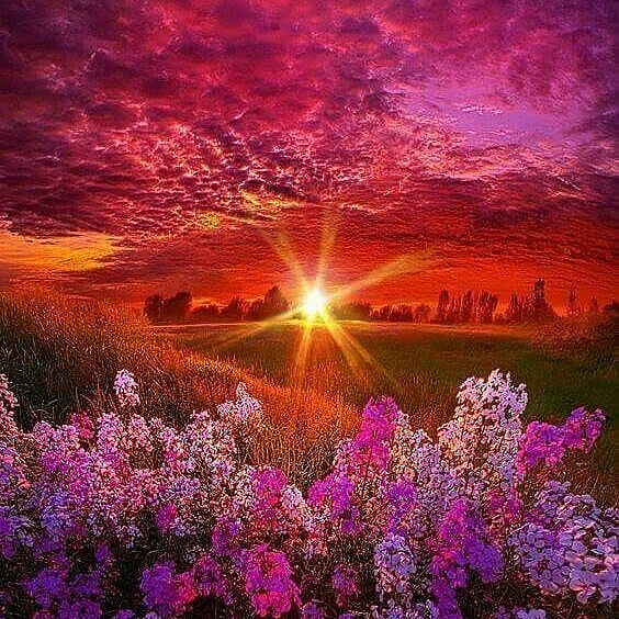 If you believe 'the doubts' in your mind, you will not experience 'the desires' of your heart.

#joytrain #subconsciousmind #heartsdesire #Reikiforstress #hypnosisforsuccess #soulinspiration #TuesdayInspiration