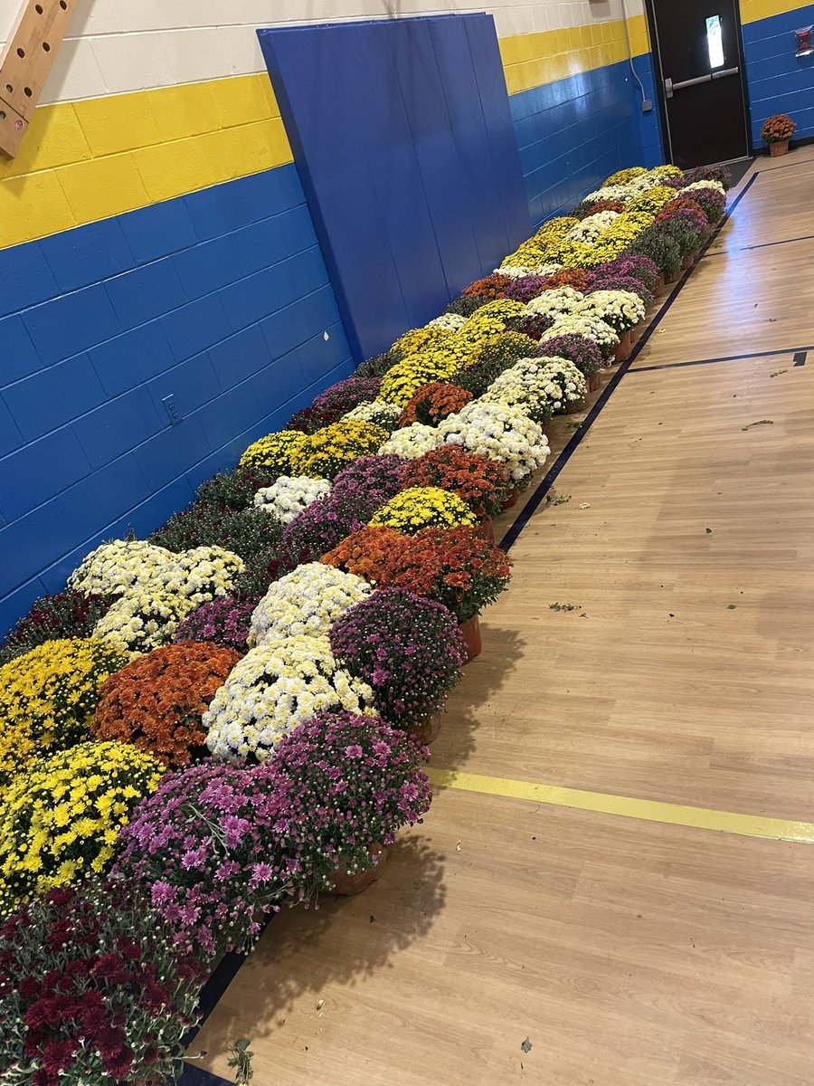 Please support 8th grade activities!  Purchase mums for $6 each by the gym at the end of the day or email Michelle.prochnow@farmingdaleschool.com <a href="/FSDVikings/">Farmingdale School</a>