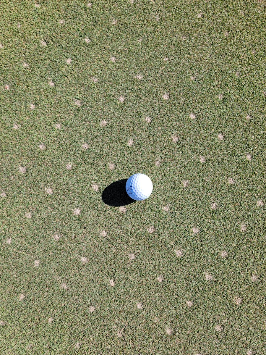 No slow motion but I promise it happened...

Delay in sand delivery means F9 happens Thursday.