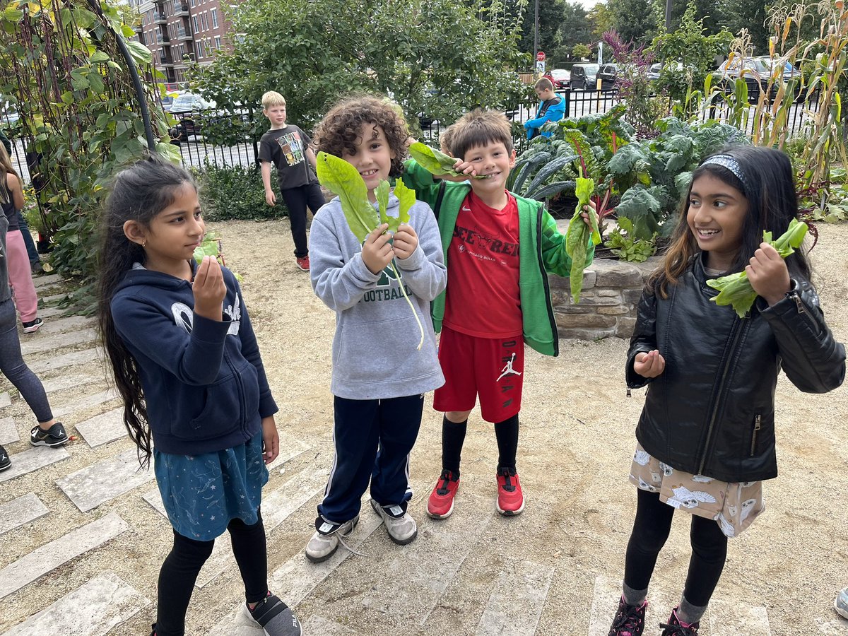A beautiful day in the garden exploring and tasting raspberries <a href="/IndianTrailScho/">Indian Trail School</a> #112Leads #ITTigers