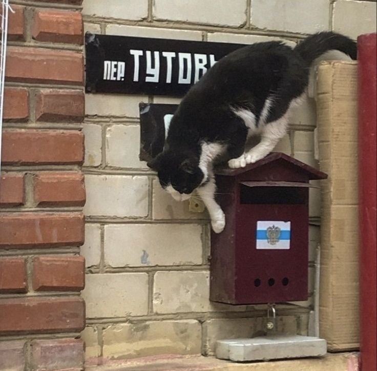 — Quién es más probable...
(con tu grupo de amigos) ☆