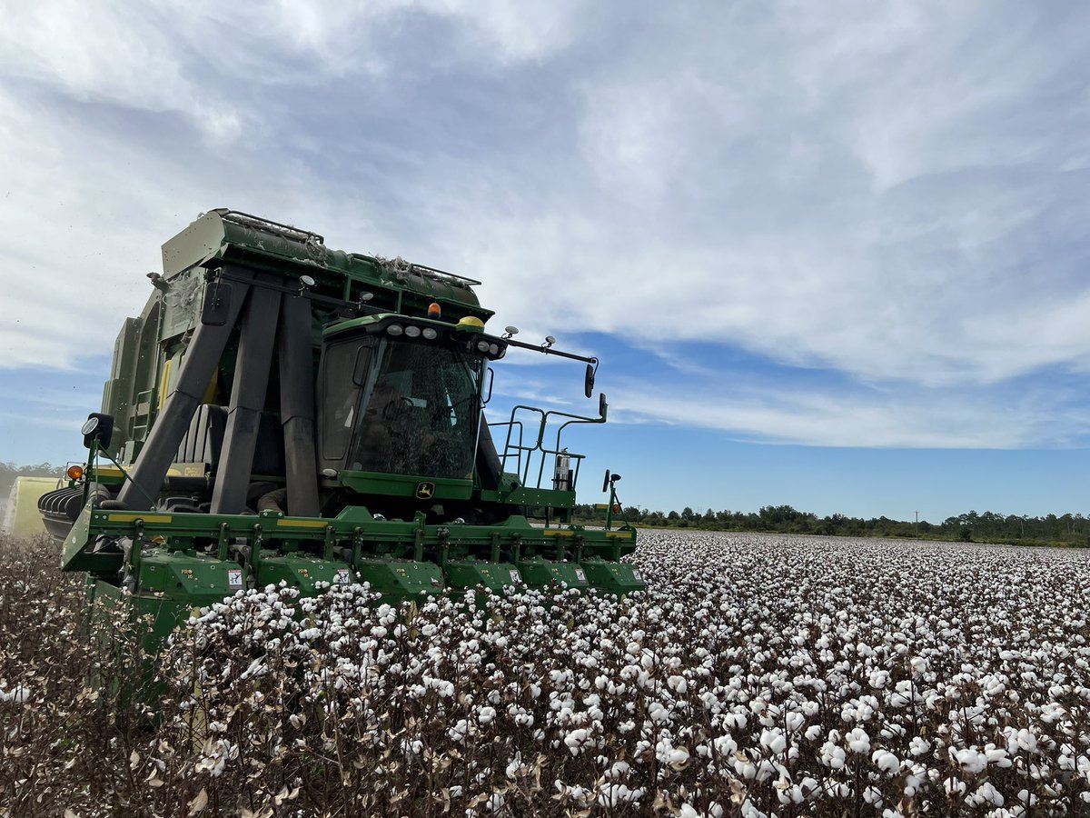 PrecAgEngineer's tweet photo. Here we go……mapping, packing and stacking them rolls with a million dollar machine!! #cottonharvest #gacotton #onfarmresearch #yieldmapping https://t.co/eErXYYS1Qo