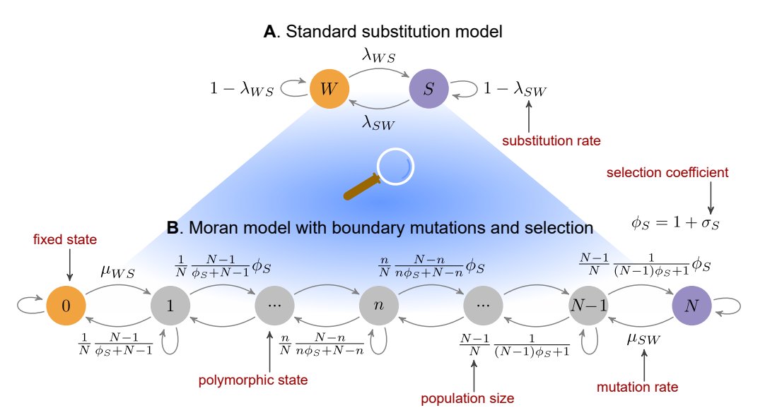 Rui Borges tweet media