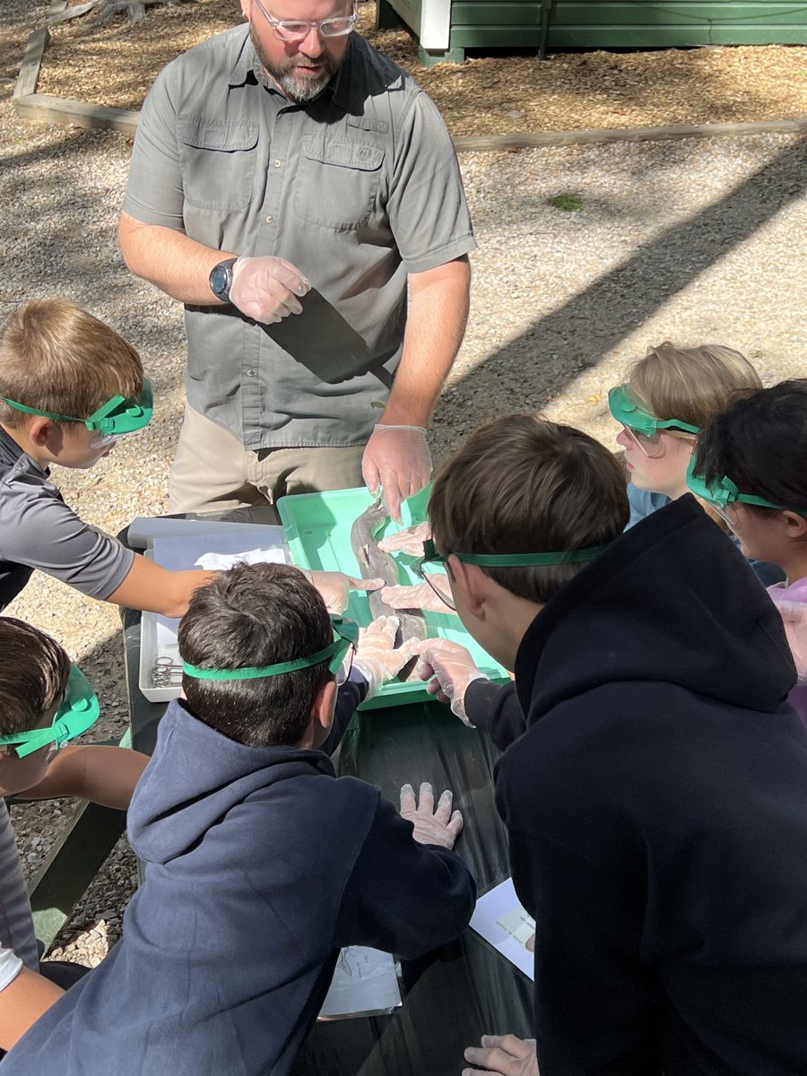 barnardschool's tweet photo. Our middle school is having a blast at environmental camp! #campcody #learningoutdoors https://t.co/cvV6pnY3xD