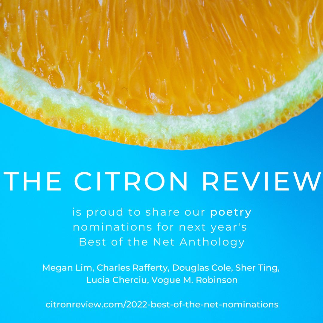 So excited to share our nominations for the next Best of the Net Anthology (<a href="/sundresspub/">SundressPublications</a>)!
citronreview.com/2022-best-of-t…