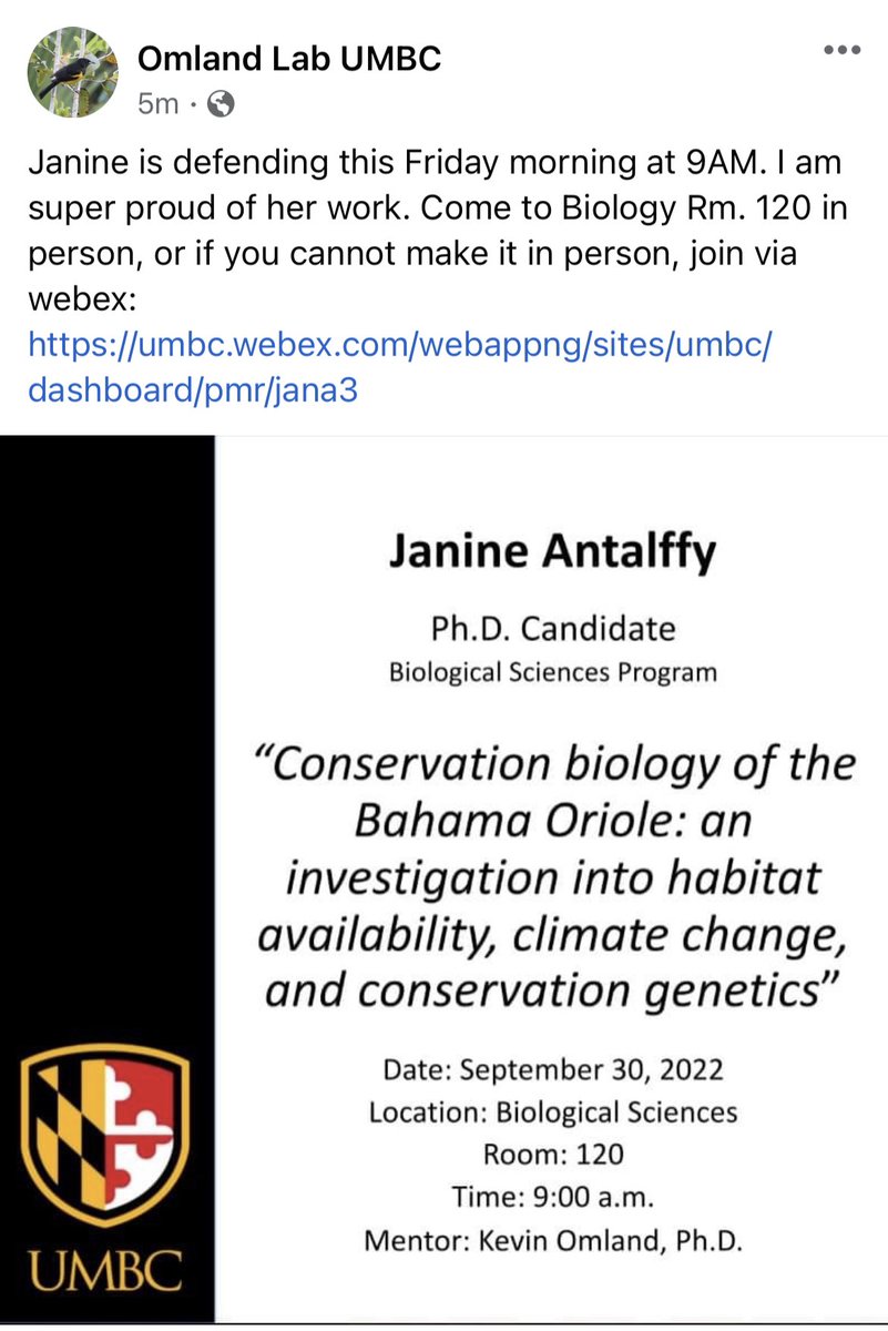 Come support Janine in person or via WebEx. Culmination her work on the #BahamaOrioleProject