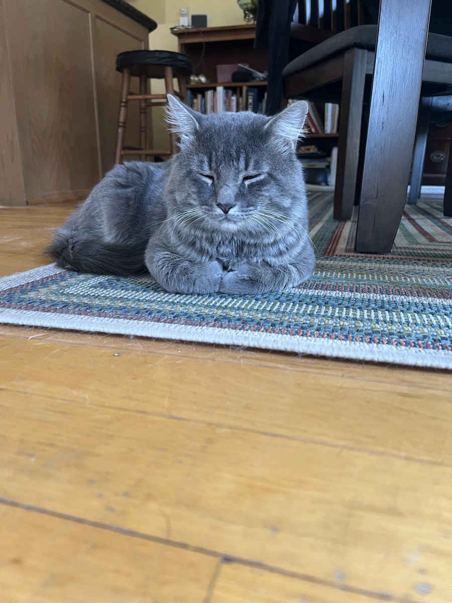 Lexiconish's tweet photo. This guy! https://t.co/gxru4Y4aWA