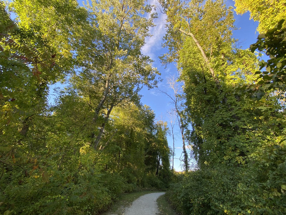NHpilled's tweet photo. The average walk 5 minutes away from my house in @FreeStateNH
#NHNature #NHtheBeautiful https://t.co/9byP8NfCYK