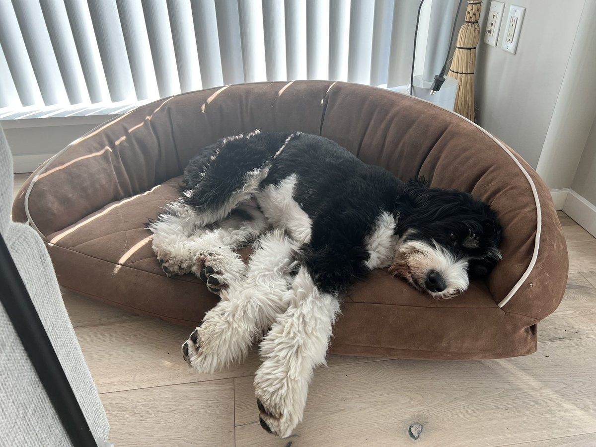 SashaBDoodle's tweet photo. Recharging my battery. https://t.co/CTEwiohadh