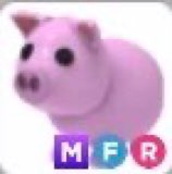 🐷 Adopt me giveaway 🌸 
Prize; Mfr pig 💞
Want to enter?
Follow these rules‼️
Rules⤵️
                 Follow me <a href="/AtIantisKingdom/">🔱 Atlantis Kingdom 🔱</a> 💝
                 Like ❤️
                 Retweet 💞
                 Comment 💐
                 Tag friends 😍
That’s all Gl everyone 🦔❤️