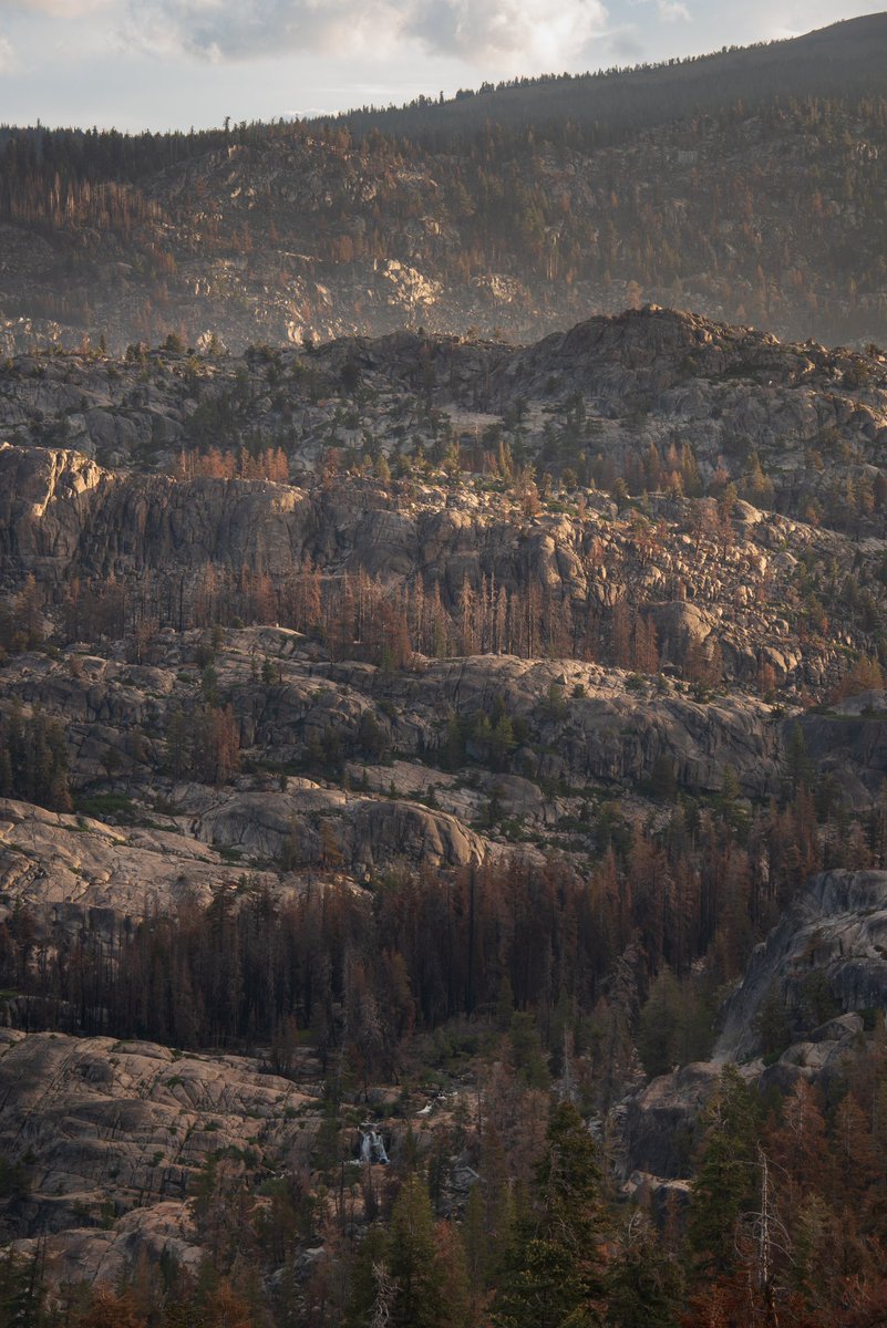 foundsoulphoto's tweet photo. I know it has been a while. But I am slowly getting back into the grind. The light was perfect on this morning in Carson Pass. 

#PhotoOfTheDay 
#weekendwarrior
#minimaledit
#landscapephotography https://t.co/xJfnYeqC0U