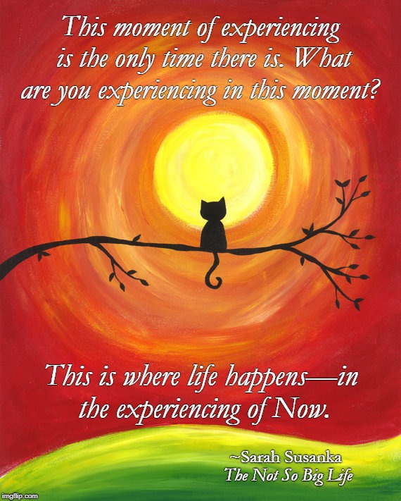 sarahsusanka's tweet photo. This moment of experiencing is the only time there is. What are you experiencing in this moment? This is where life happens—in the experiencing of Now. (From The Not So Big Life)
https://t.co/qHeCwfDxMr
#notsobiglife #quoteoftheweek #thismoment #wherelifehappens #Now https://t.co/YHb9nLKrM2