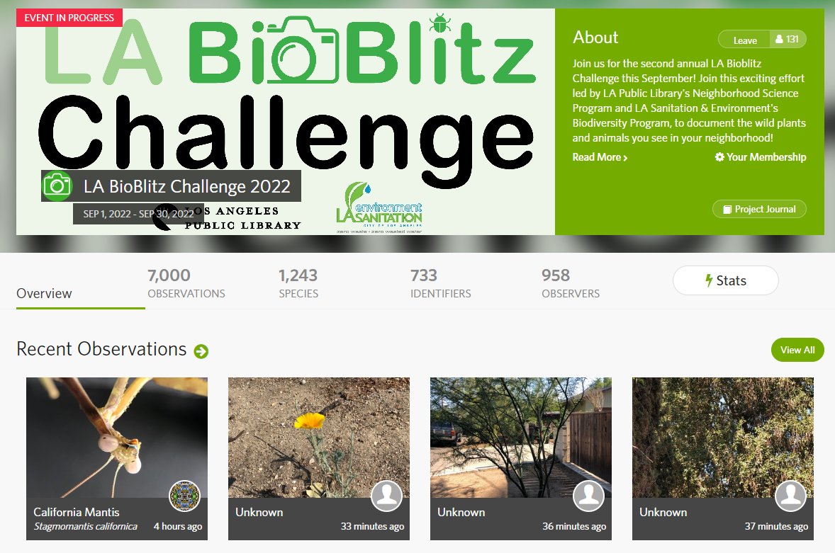 BaldwinHills's tweet photo. It's not too late to join the #LABioBlitz Challenge!
It ends Fri. Sep. 30, 2022 but all you have to do is sign up here https://t.co/5BYLYtdqfG & upload some photos!
Take photos during nature walks in your local park or @CAStateParks! #CheckOutCAStateParks https://t.co/BBL6byWd39 https://t.co/z6AEPfeAUq