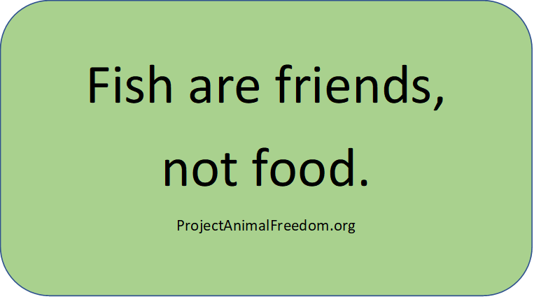 PAFforAnimals's tweet photo. https://t.co/lo3k0CO7s1