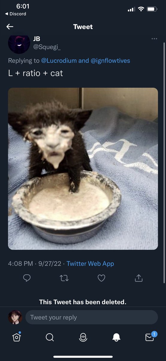 dium tweet media