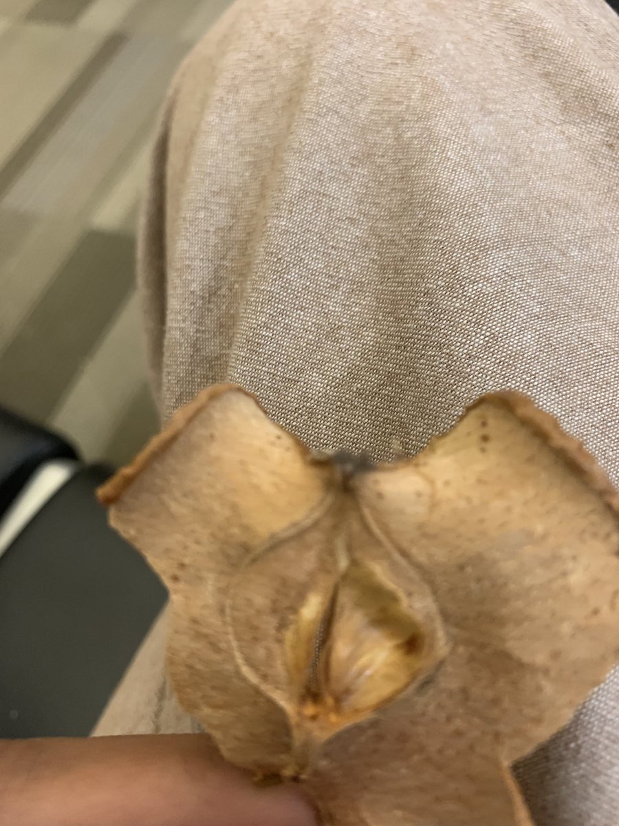 junipeap's tweet image. Yeah….