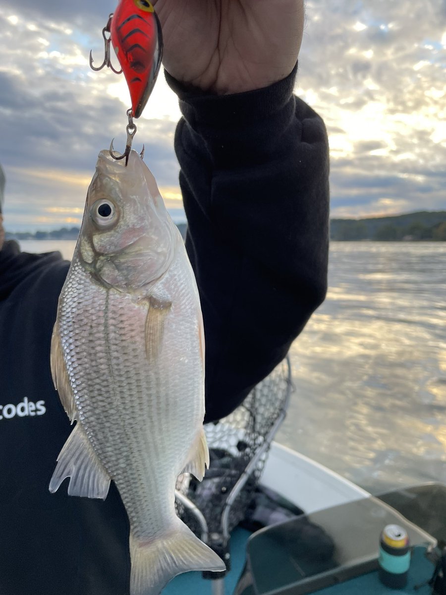 Had a little luck #fishing #fishinglife #