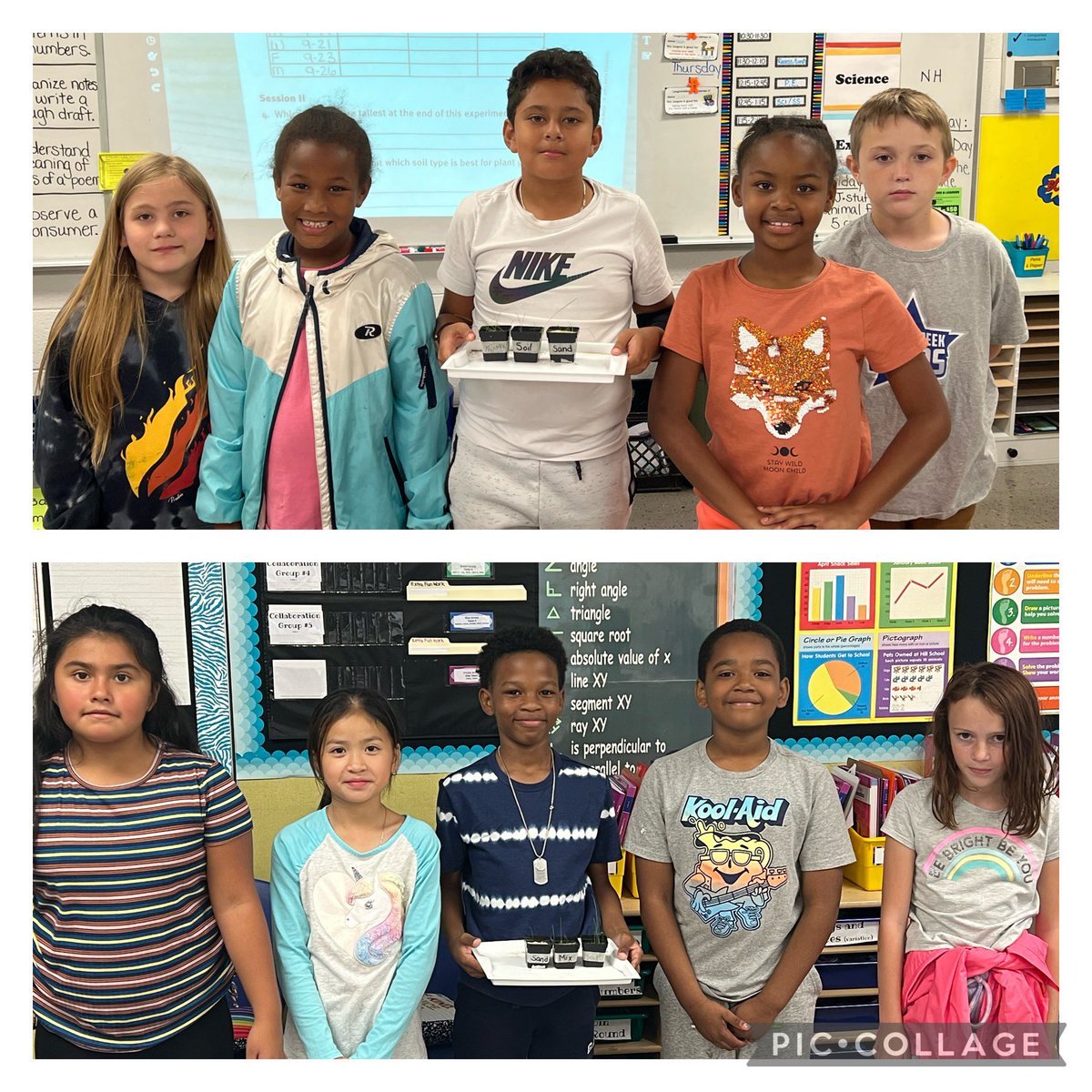 mandybaikie's tweet photo. Our first experiment was a success! Science groups tested which soil type was best for growing grass. #stony126  #weare126 https://t.co/Q0DXsMueYT