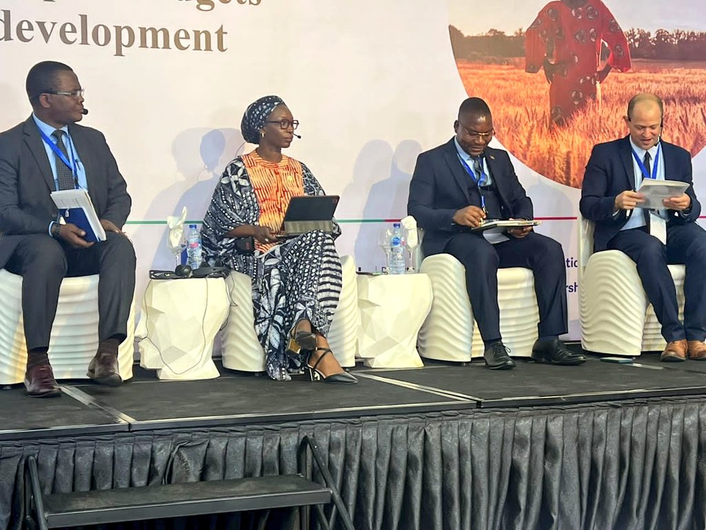 NabilaAguele's tweet photo. Always an honour to share #Nigeria's #INFF journey 🎈.
Today, I joined govt officials from Comoros, Malawi & Tanzania to discuss country experiences developing #SDG #FinancingStrategies.
For the record, @tombeloe @UNDP is the best moderator 🌠👏🏾 https://t.co/WGI09KTBE5